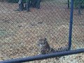 Kids_FossilRim_8-2016 (94)